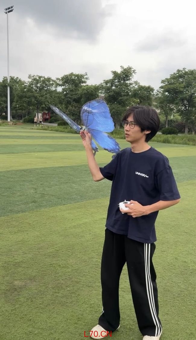 大学生“手搓”蝴蝶 单只售价1500元