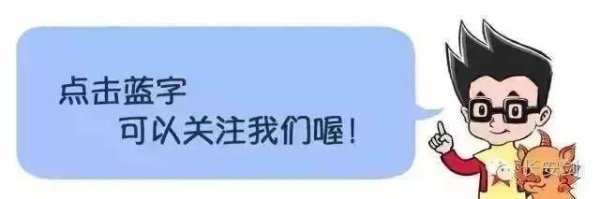 反转了，“中林”竟然是摆拍，网友：太过分！