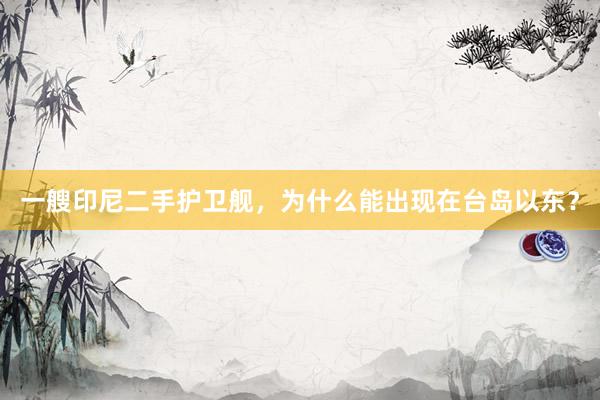 一艘印尼二手护卫舰，为什么能出现在台岛以东？