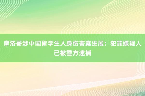摩洛哥涉中国留学生人身伤害案进展：犯罪嫌疑人已被警方逮捕