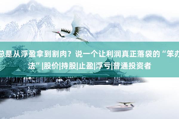 总是从浮盈拿到割肉？说一个让利润真正落袋的“笨办法”|股价|持股|止盈|浮亏|普通投资者