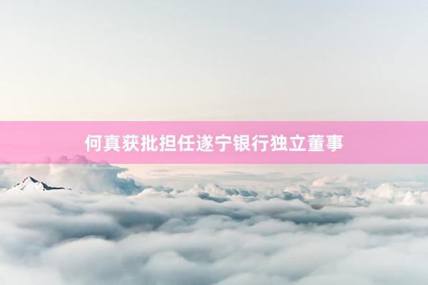 何真获批担任遂宁银行独立董事