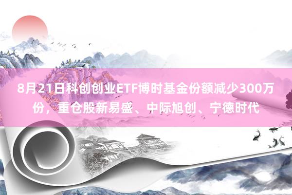 8月21日科创创业ETF博时基金份额减少300万份，重仓股新易盛、中际旭创、宁德时代