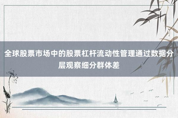 全球股票市场中的股票杠杆流动性管理通过数据分层观察细分群体差