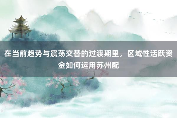 在当前趋势与震荡交替的过渡期里，区域性活跃资金如何运用苏州配