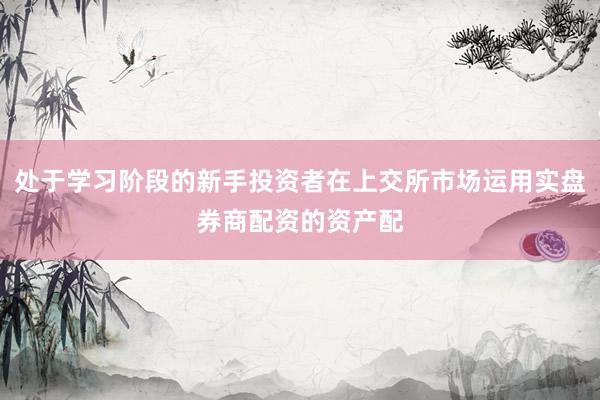 处于学习阶段的新手投资者在上交所市场运用实盘券商配资的资产配
