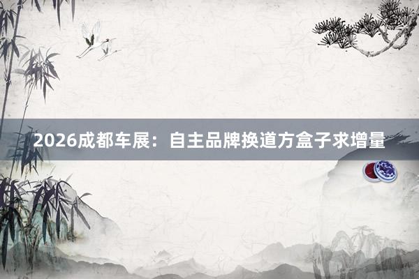 2026成都车展:自主品牌换道方盒子求增量