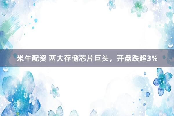 米牛配资 两大存储芯片巨头，开盘跌超3%