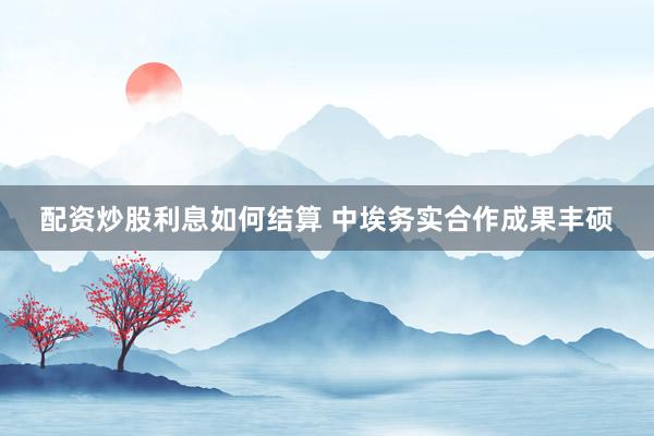 配资炒股利息如何结算 中埃务实合作成果丰硕