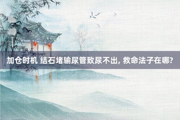 加仓时机 结石堵输尿管致尿不出, 救命法子在哪?