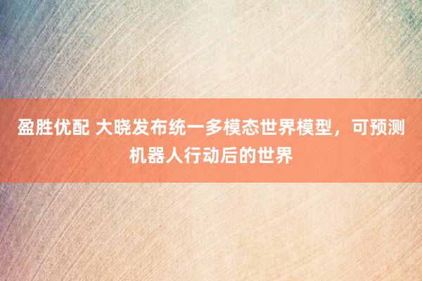 盈胜优配 大晓发布统一多模态世界模型，可预测机器人行动后的世界