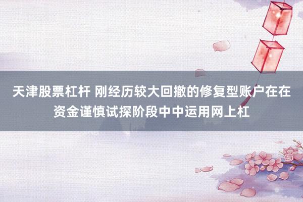 天津股票杠杆 刚经历较大回撤的修复型账户在在资金谨慎试探阶段中中运用网上杠