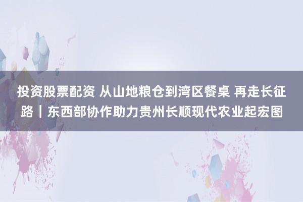 投资股票配资 从山地粮仓到湾区餐桌 再走长征路｜东西部协作助力贵州长顺现代农业起宏图