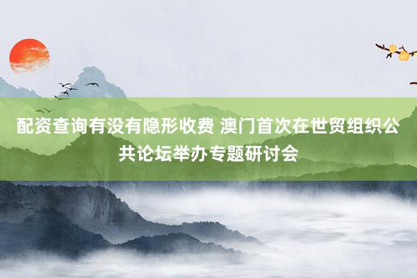 配资查询有没有隐形收费 澳门首次在世贸组织公共论坛举办专题研讨会